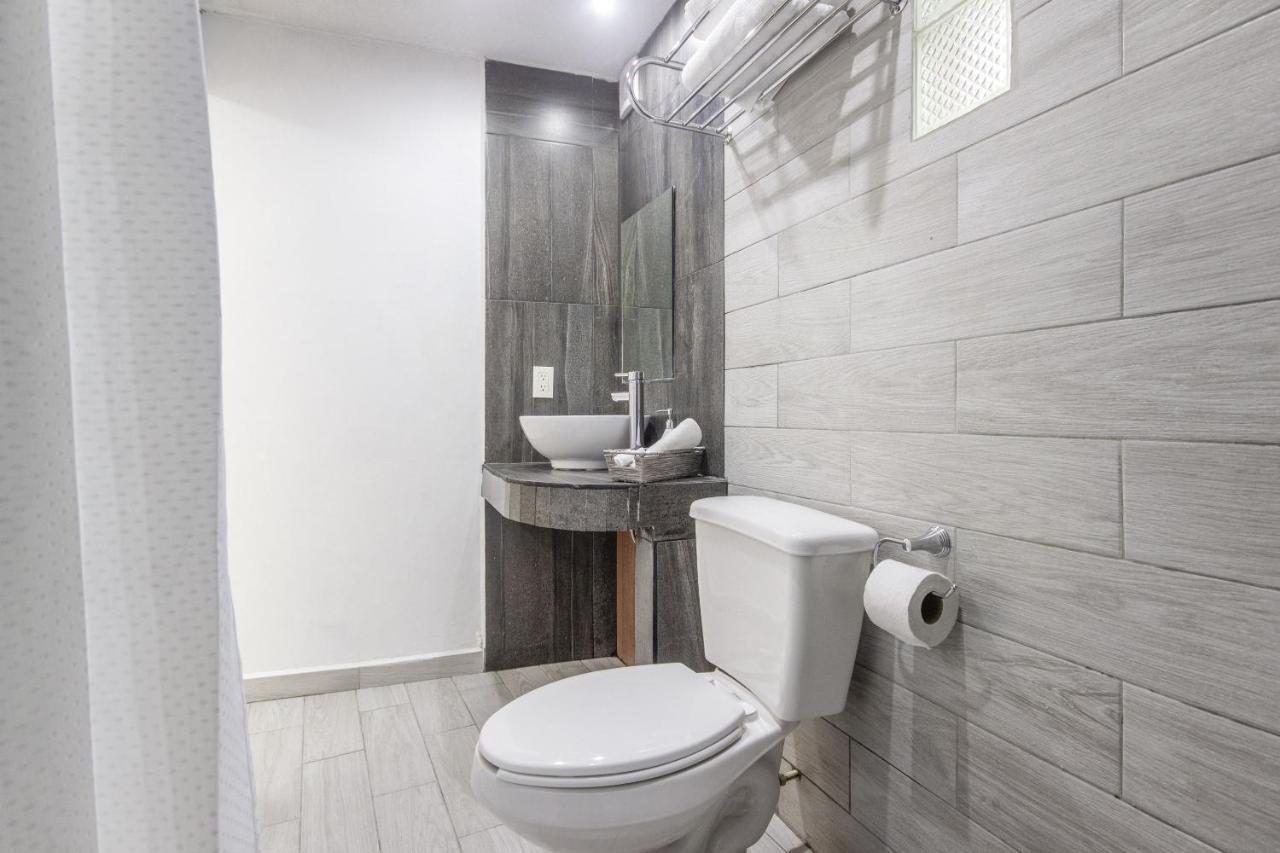 Hotel La Coleccion, Universidad De Guanajuato, Centro מראה חיצוני תמונה